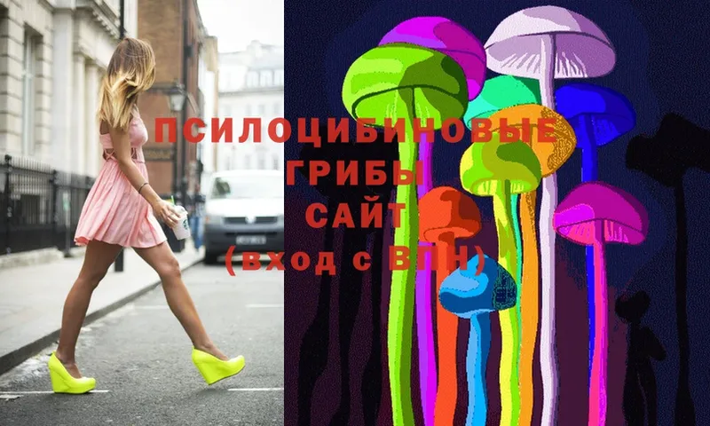 Галлюциногенные грибы Magic Shrooms  Данков 